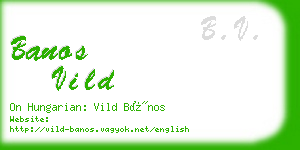 banos vild business card